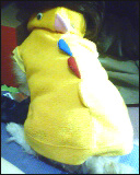 2007/02/05 14:01