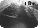 2007/05/11 08:40