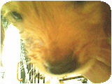 2007/05/18 01:18