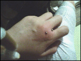 2006/12/23 08:10